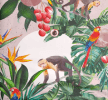 Monkeys